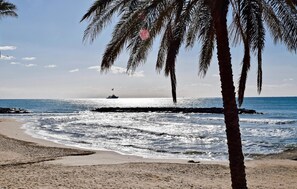 Beach nearby, fishing