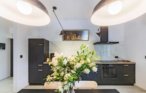 Réfrigérateur, four, lave-vaisselle, cafetière/bouilloire