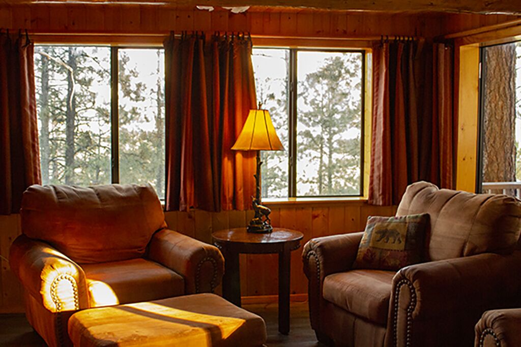 A cozy room with a leather sofa, a matching armchair, and a small table with a lamp. Large windows with curtains provide a view of trees outside.