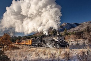 Eine Dampflokomotive mit der Nummer 493 auf Gleisen, umgeben von trockenem Gras und Bäumen.