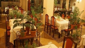 A dining area with tables set for two, surrounded by potted plants and wooden chairs. - Baron (Tirana)