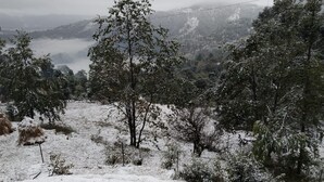 Vista al paisaje