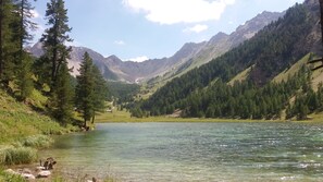 Oklassificerad bild, 5 av 45, knapp