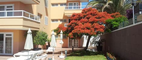 Terassi/patio