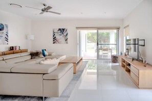 TV, Netflix, DVD player, streaming services