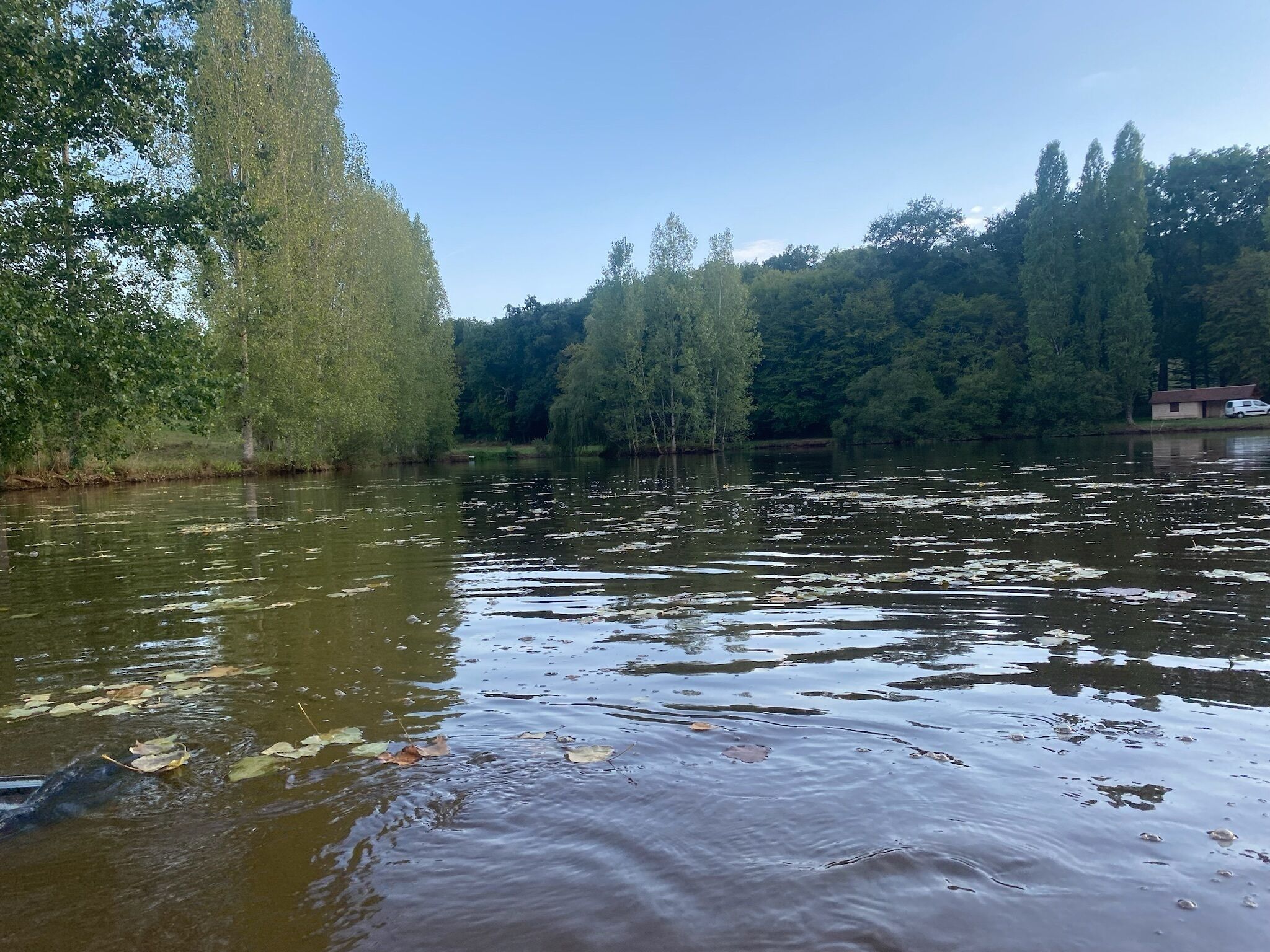 A calm river with trees on both sides and a building in the background.