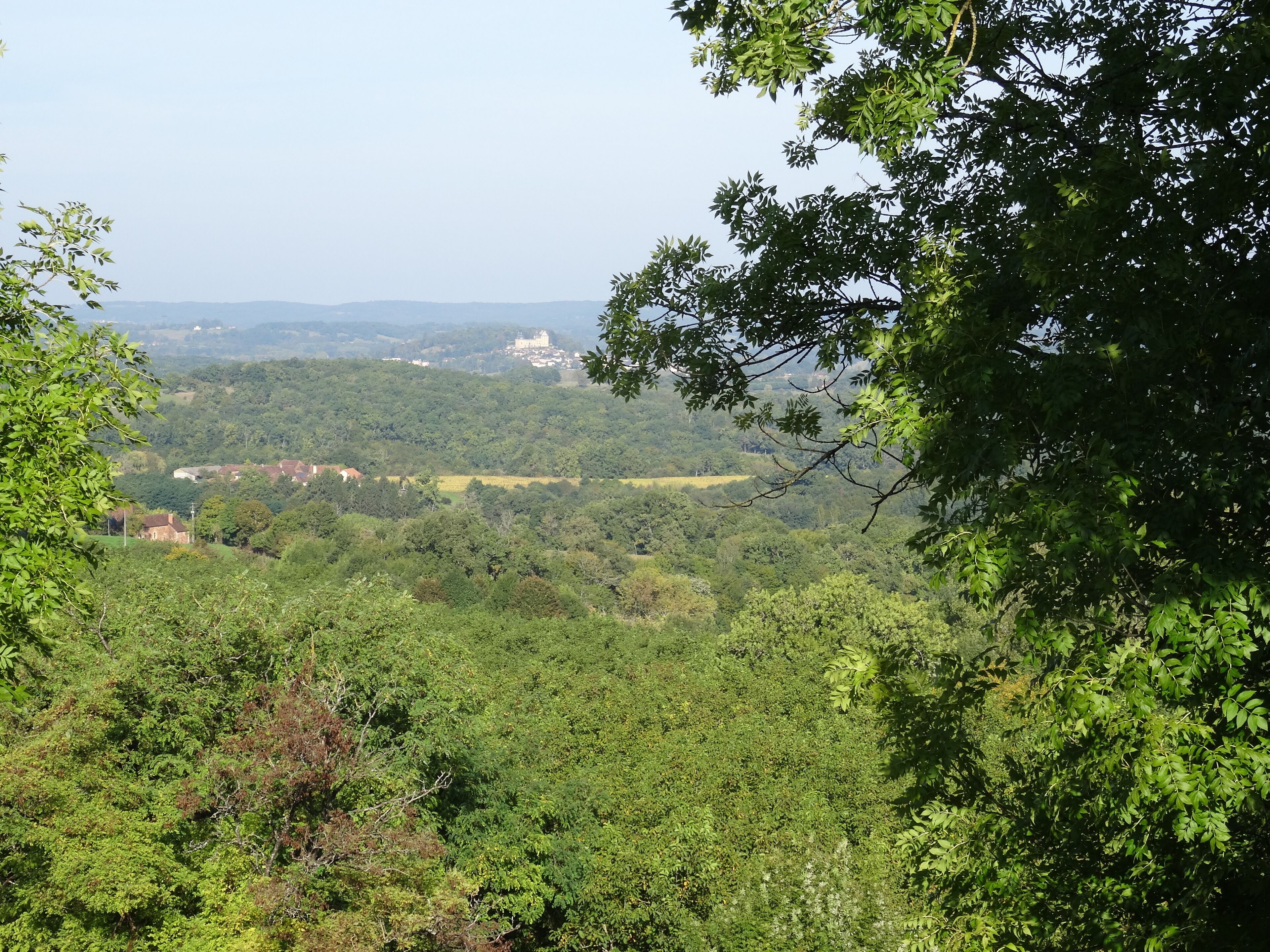 A lush, green landscape with a distant view of a town and a prominent building.