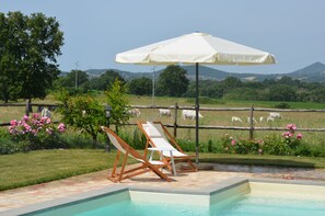 Pool - FARM HOUSE LA GHIGA- CARBONCELLA COTTAGE a few minutes from Bracciano Lake (Nepi)