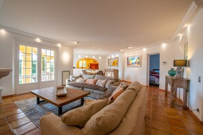 Televisie, een open haard, een tafeltennistafel en een stereo