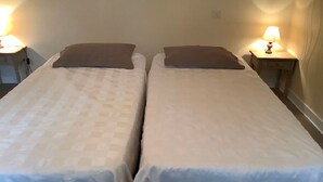 Two single beds with brown pillows, a bedside table with a lamp, and a plain wall.