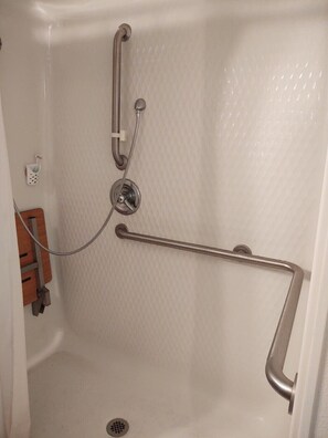 Shower, bidet, toilet paper