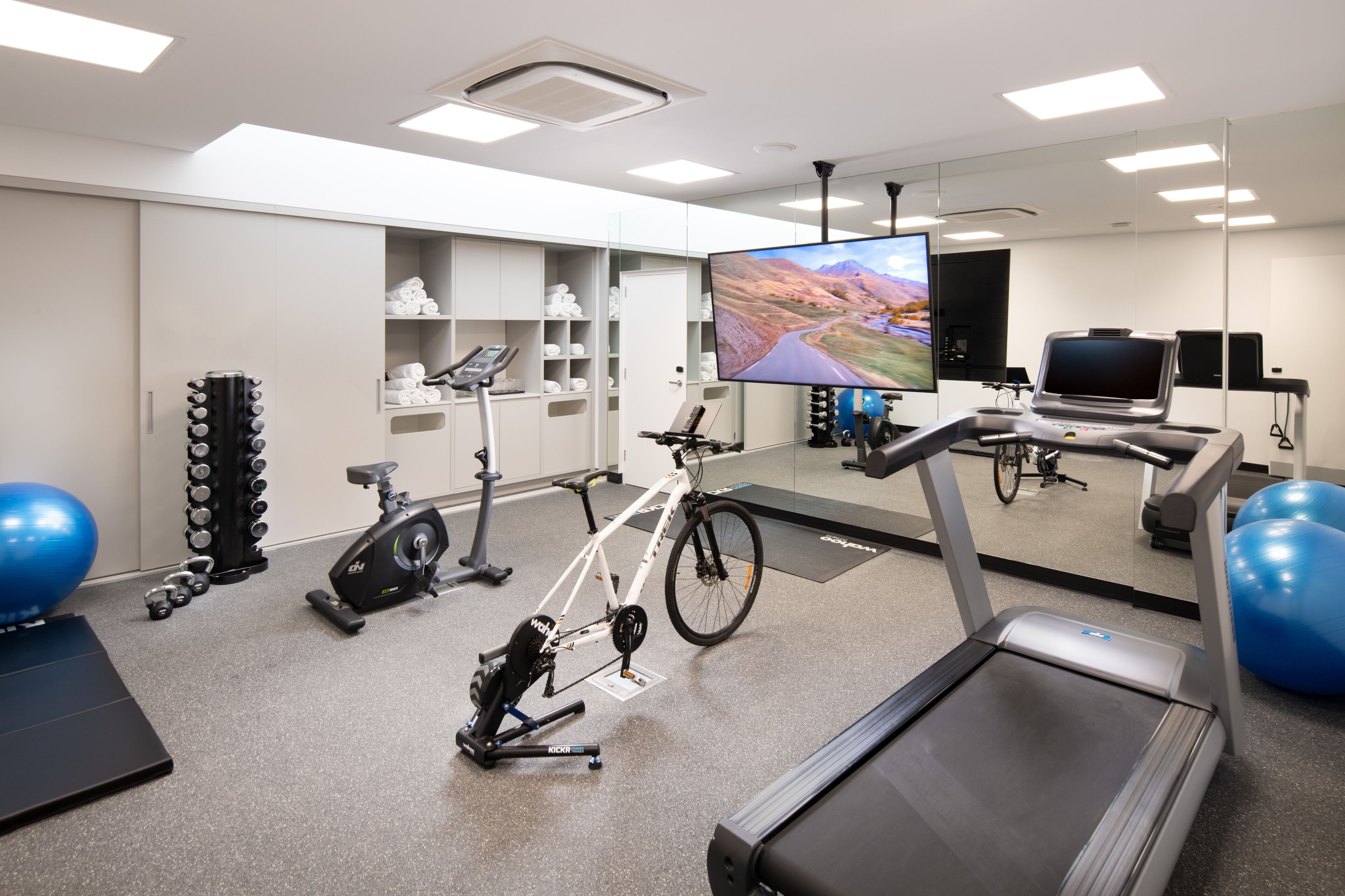A modern gym with a treadmill, stationary bike, and exercise balls.