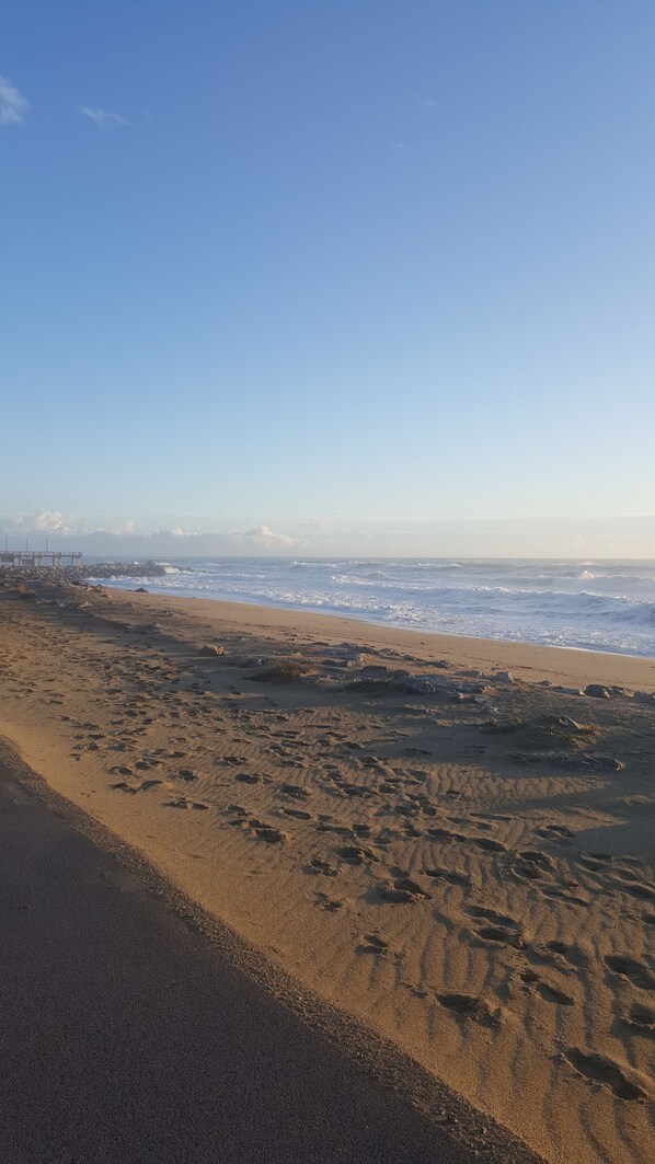 Plage, chaises longues