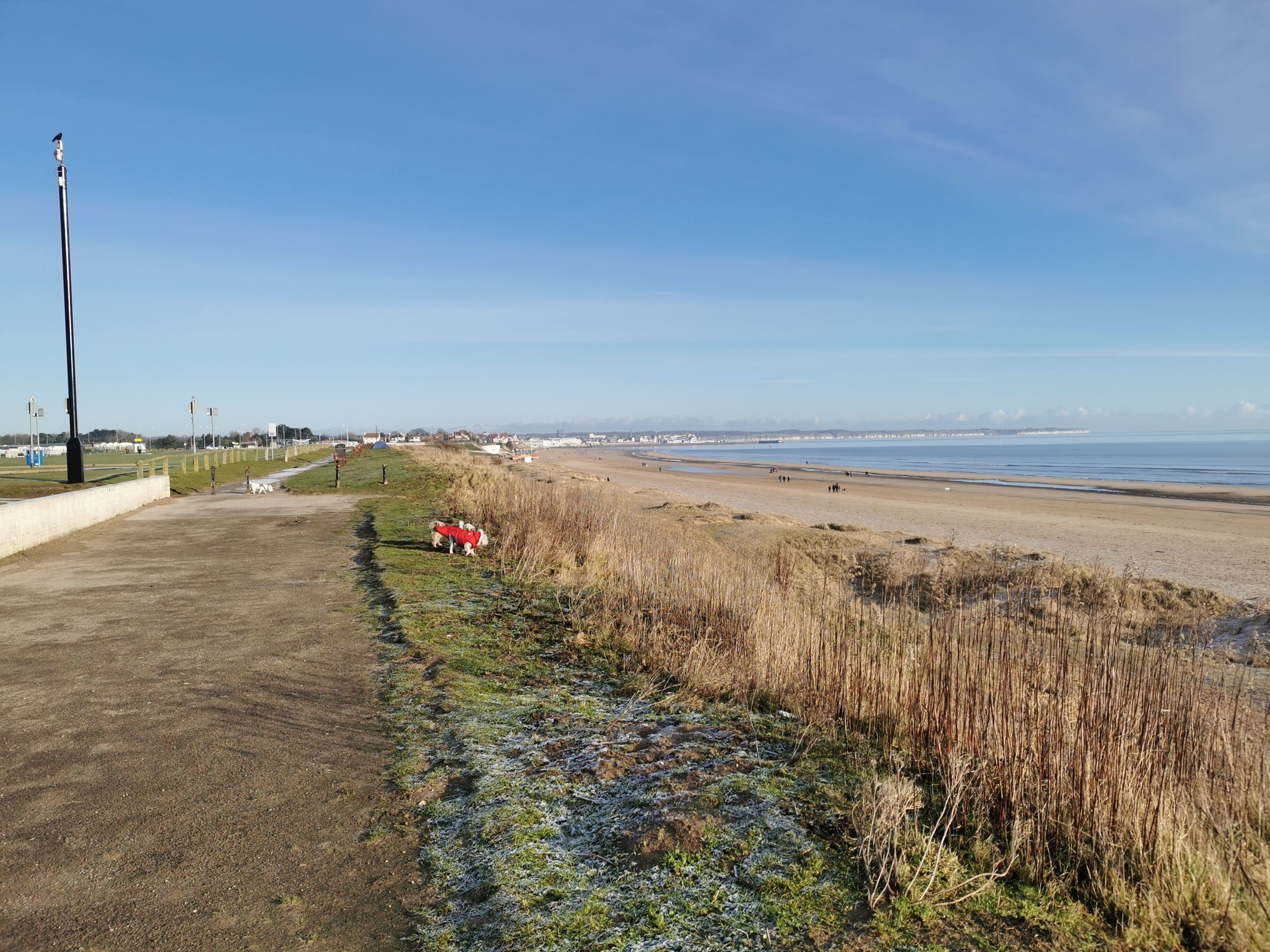 A coastal beach scene with a dirt path, grassy areas, and a clear sky.