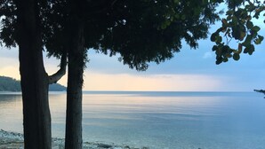 A bench by a rocky shore with a calm body of water and trees in the background.