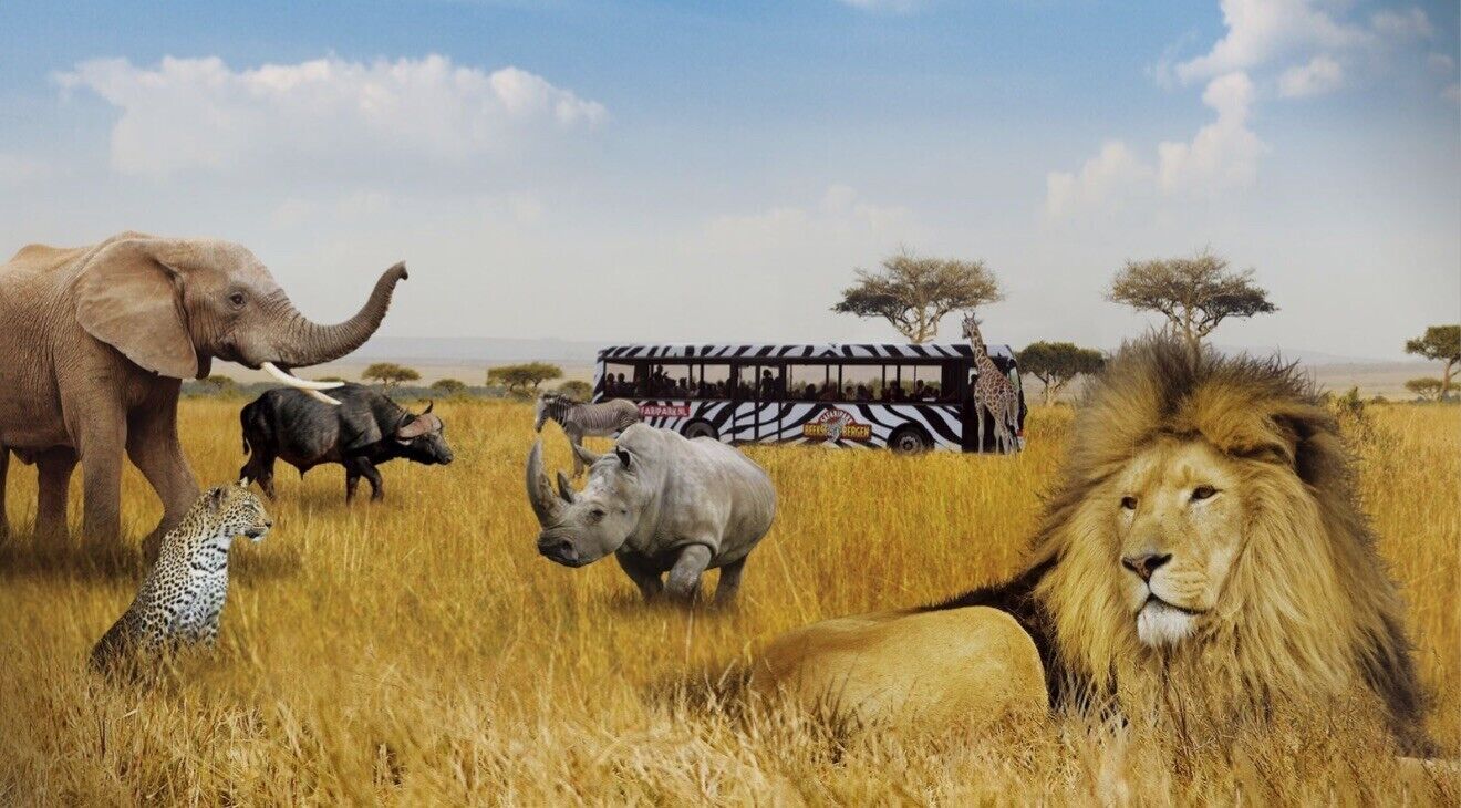 A safari scene with various animals and a safari bus.