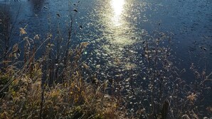 Et fredfyldt sølandskab med klar himmel, stille vand der spejler sollys, og frodig beplantning omkring.