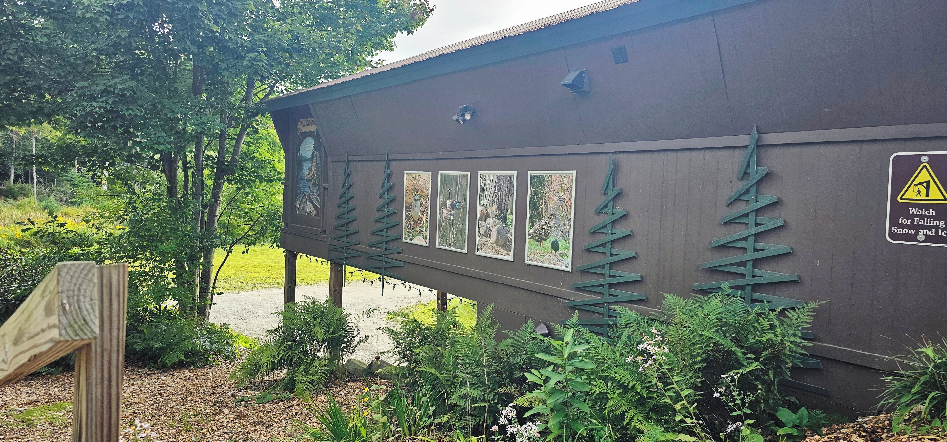 A building with a warning sign for falling snow and ice, surrounded by greenery and ferns.