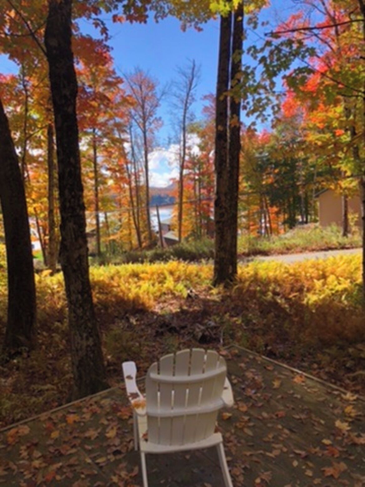A white Adirondack chair in a forested area with autumn foliage, a clear sky, and a distant view of a body of water.