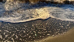 A beach with waves and the sun setting in the background.