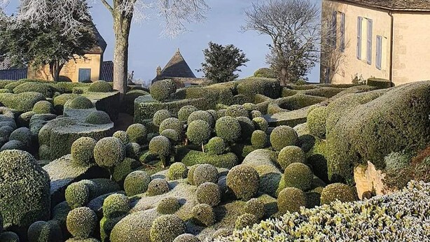 Un pueblo europeo tradicional con un gran árbol cubierto de escarcha, setos podados con cuidado y edificios históricos.