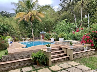 Vista Stsys...Bamboo View  