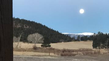 Basic Room, 1 King Bed | View from room