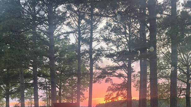 Un foyer extérieur en métal, avec un feu visible, entouré d’une terrasse en pierre et d’une clôture métallique, le tout se dressant sur un fond de grands arbres et avec un coucher de soleil sur un lac.