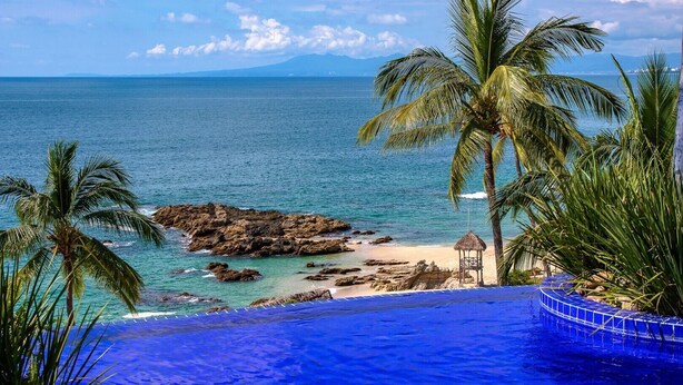 A pool with a view of the ocean and palm trees.