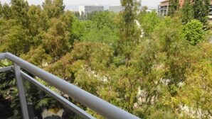 Une vue depuis un balcon doté d’une rambarde en métal, donnant sur une zone boisée dense et un bâtiment situé au loin.