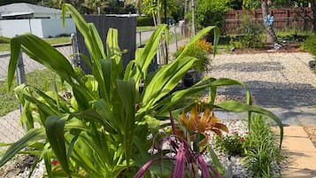 A garden with a variety of plants, including a palm tree, and a green umbrella.