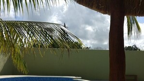 A swimming pool with a curved edge, surrounded by a low wall and a palm tree. - Hotel Jireh (Bacalar)