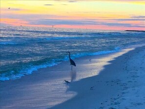 Walk along the beach and enjoy the serene atmosphere.