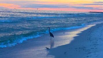 NĂ€ra stranden, solstolar och strandhanddukar
