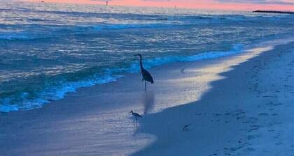 Pet Friendly Beach House. Very safe and quiet neighborhood