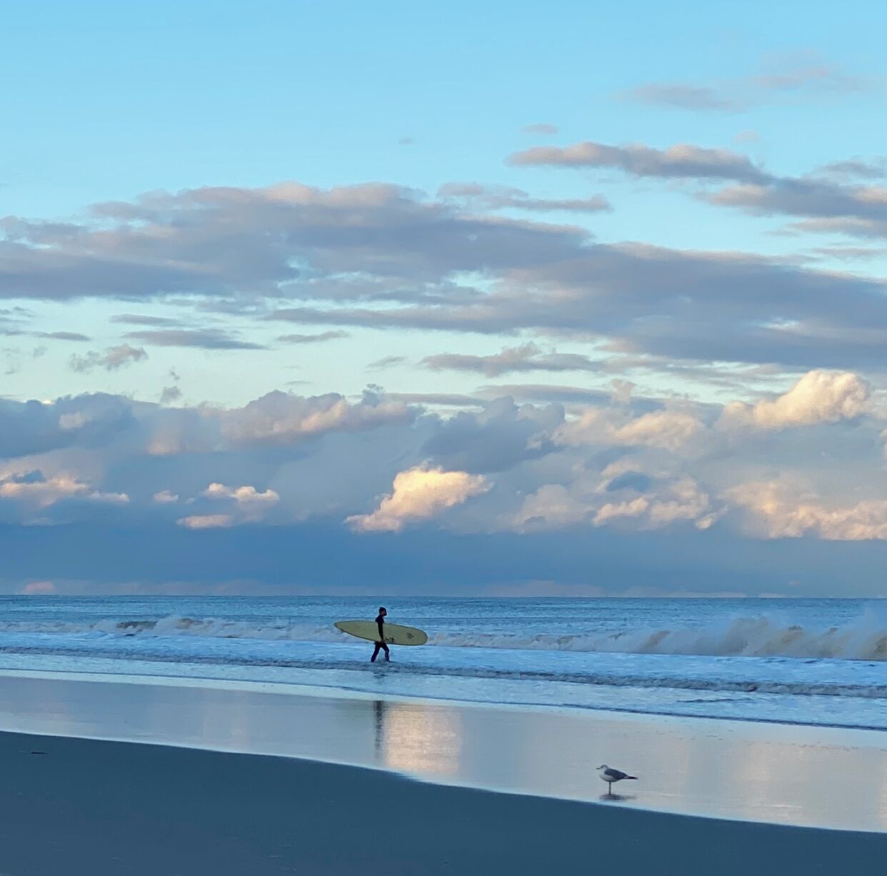A beach scene with a person carrying a surfboard and a seagull on the sand.