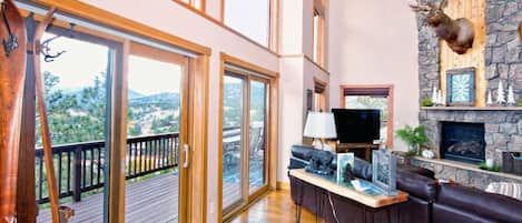 Televisión, chimenea, reproductor de DVD y libros