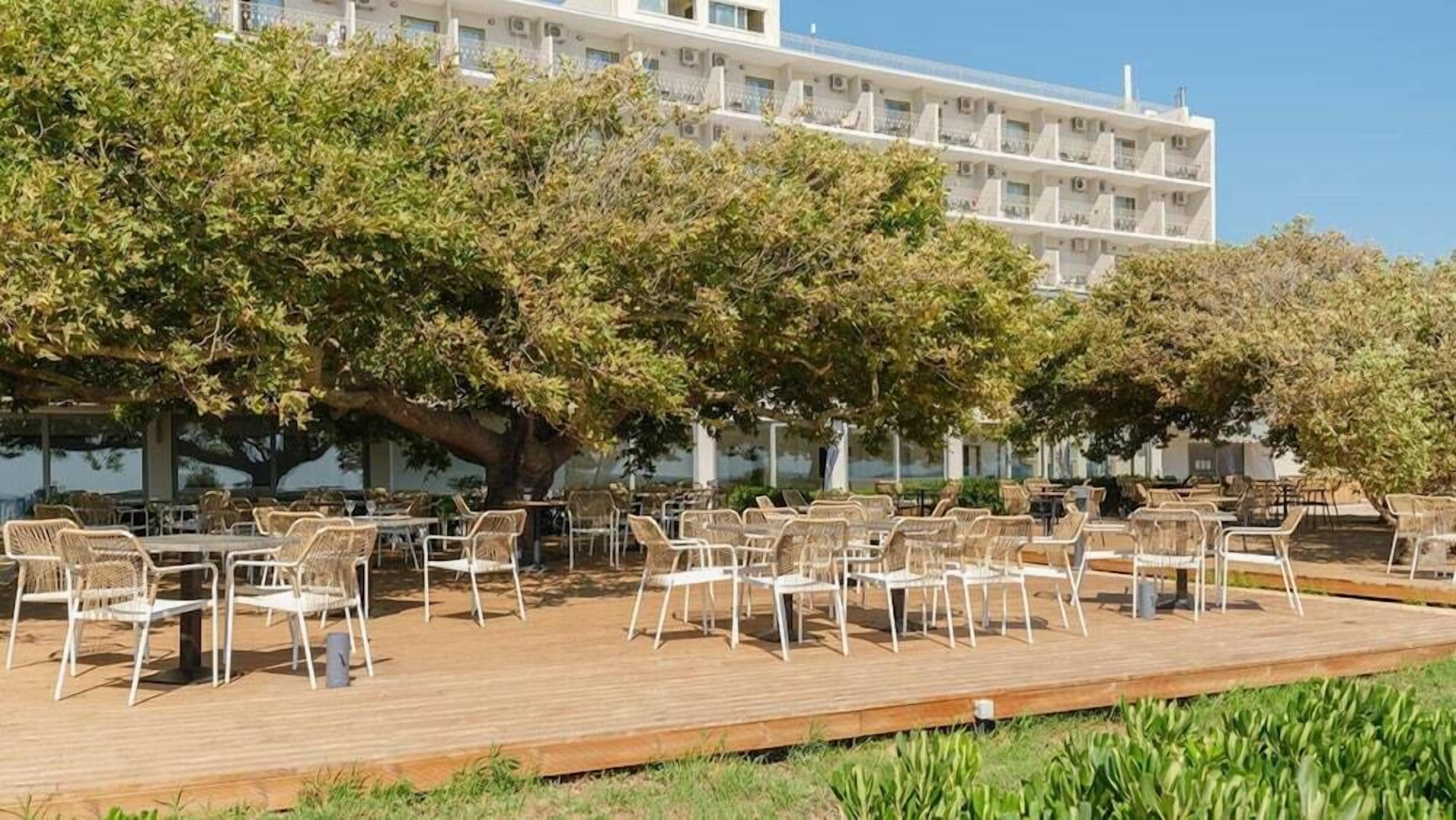 An outdoor seating area with tables and chairs, surrounded by trees and a building in the background.