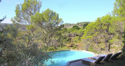 Provencal house with direct access to lake and private pool