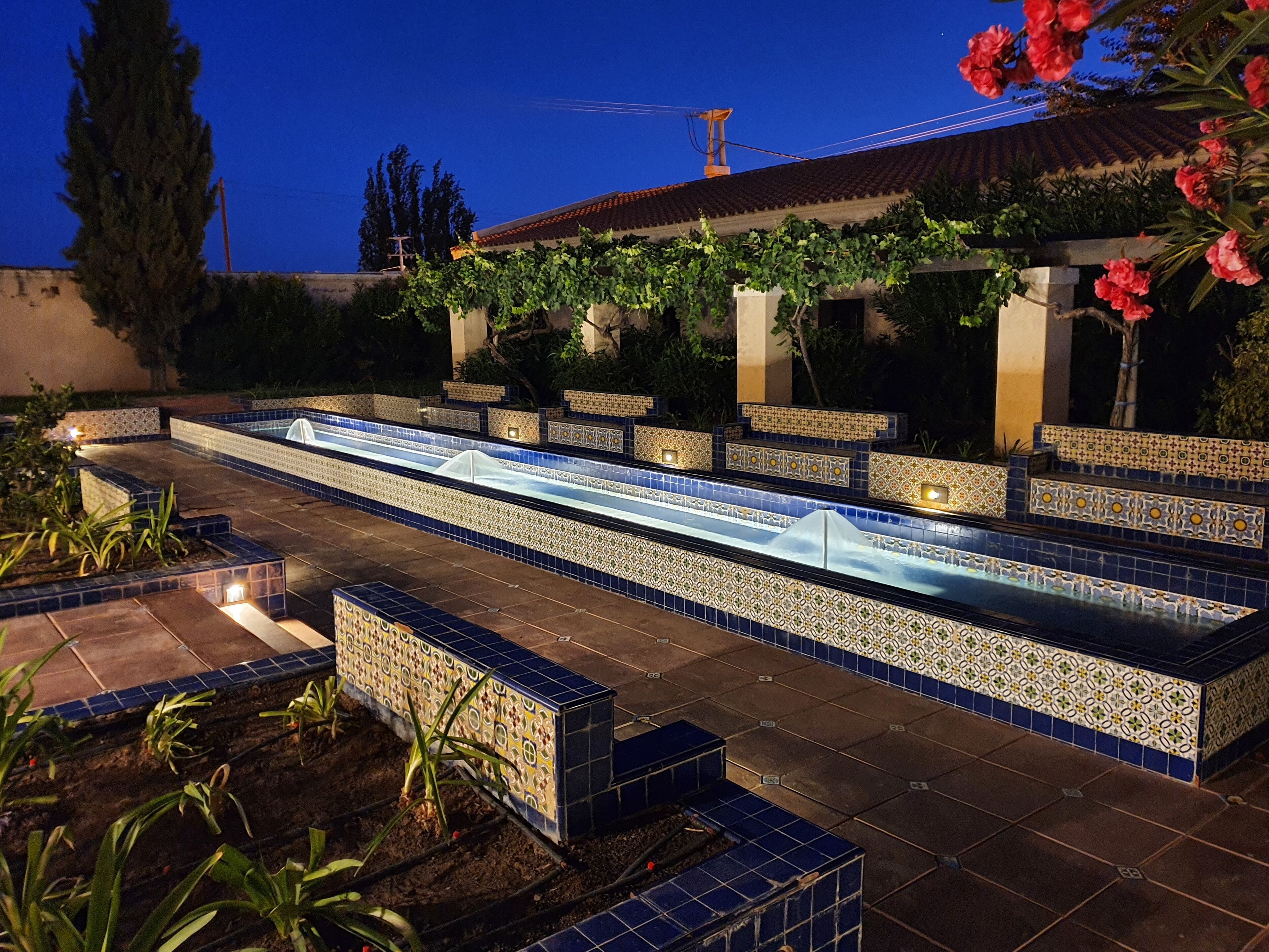 Una piscina con piastrelle blu e bianche, circondata da piante e un pergolato con viti rampicanti.