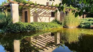 Vigneto