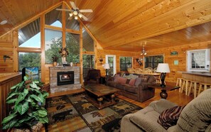 Televisión, chimenea y reproductor de DVD 