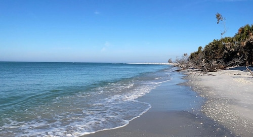 Steps from the beach! Spacious island retreat with pool, grill, and space for 12