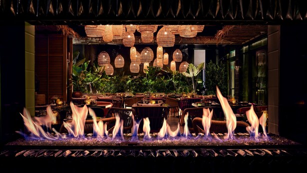 A restaurant with a fire feature, wicker furniture, and a tropical plant backdrop.