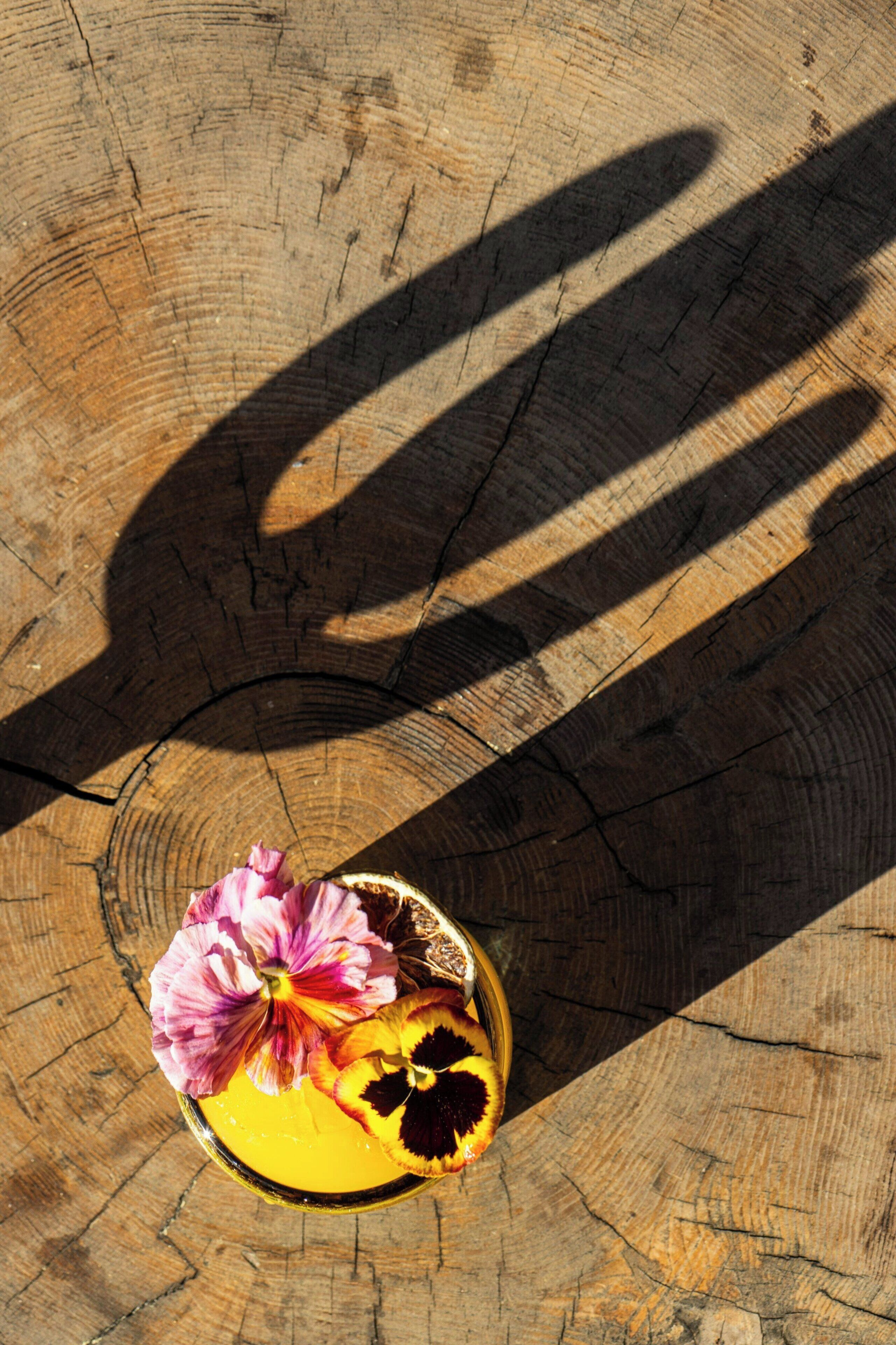 A wooden surface with a circular object and a flower.