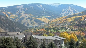 Surrounded by majestic mountains and lush trees, this serene valley offers breathtaking views.