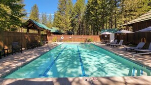 Ein rechteckiger Swimmingpool mit blauen Bahnmarkierungen, umgeben von Holzliegen und Sonnenschirmen, vor einer Kulisse aus hohen Bäumen und einem Holzzaun.