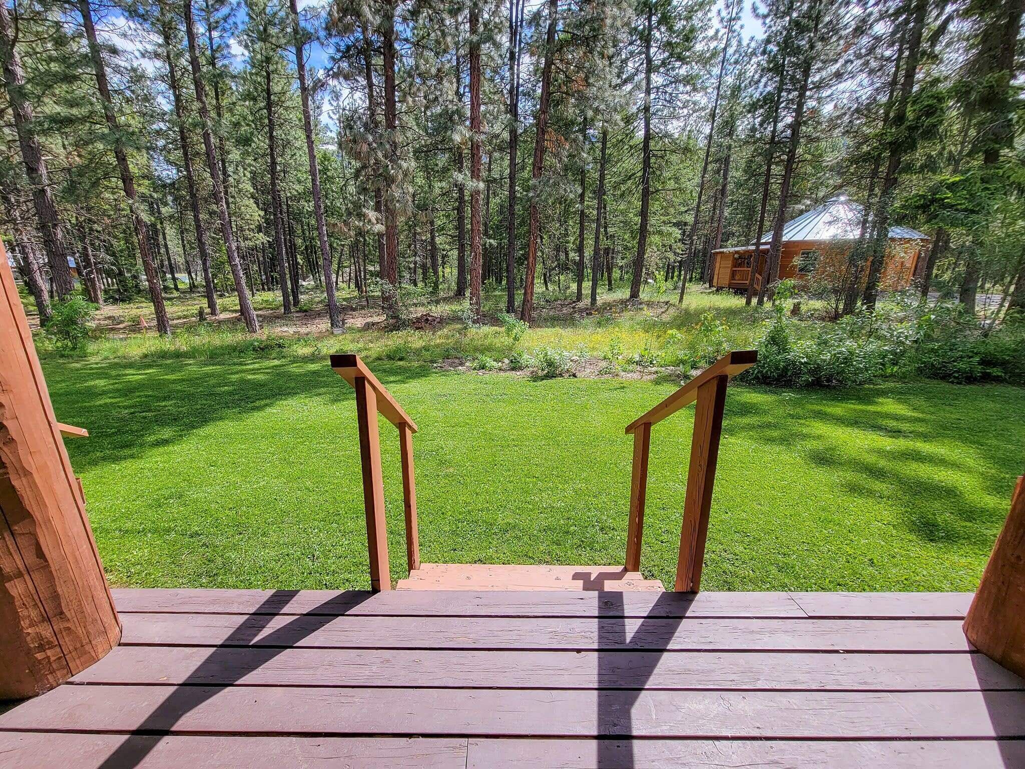 En træterrasse med græsplæne og en skov i baggrunden.