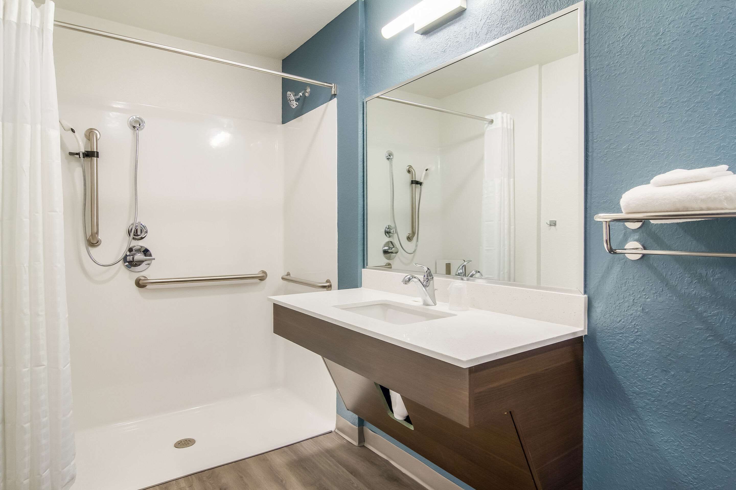 queen suite w/ dishwasher (dishes/cookware included) accessible roll-in shower | bathroom | hair dryer