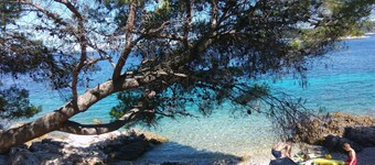 Your Place in Primosten